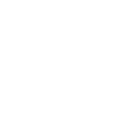 Logo of Wombat
