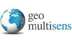 Logo of GeoMultiSens